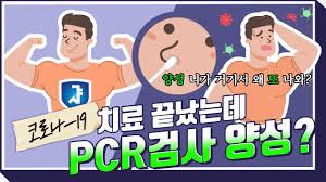 코로나 격리 해제 후 양성 판정