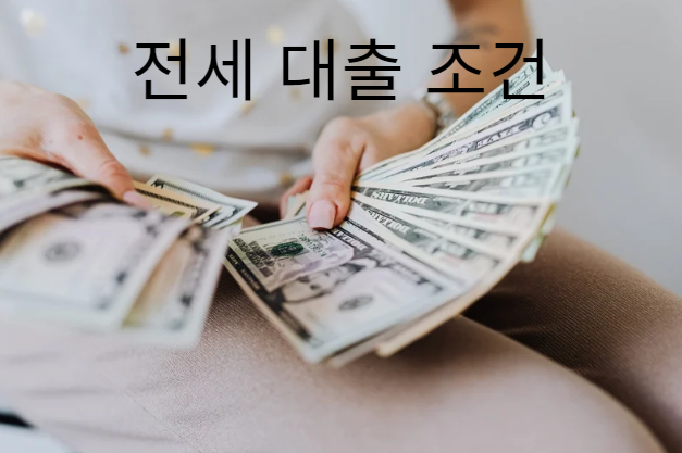 보험사별 가격 비교