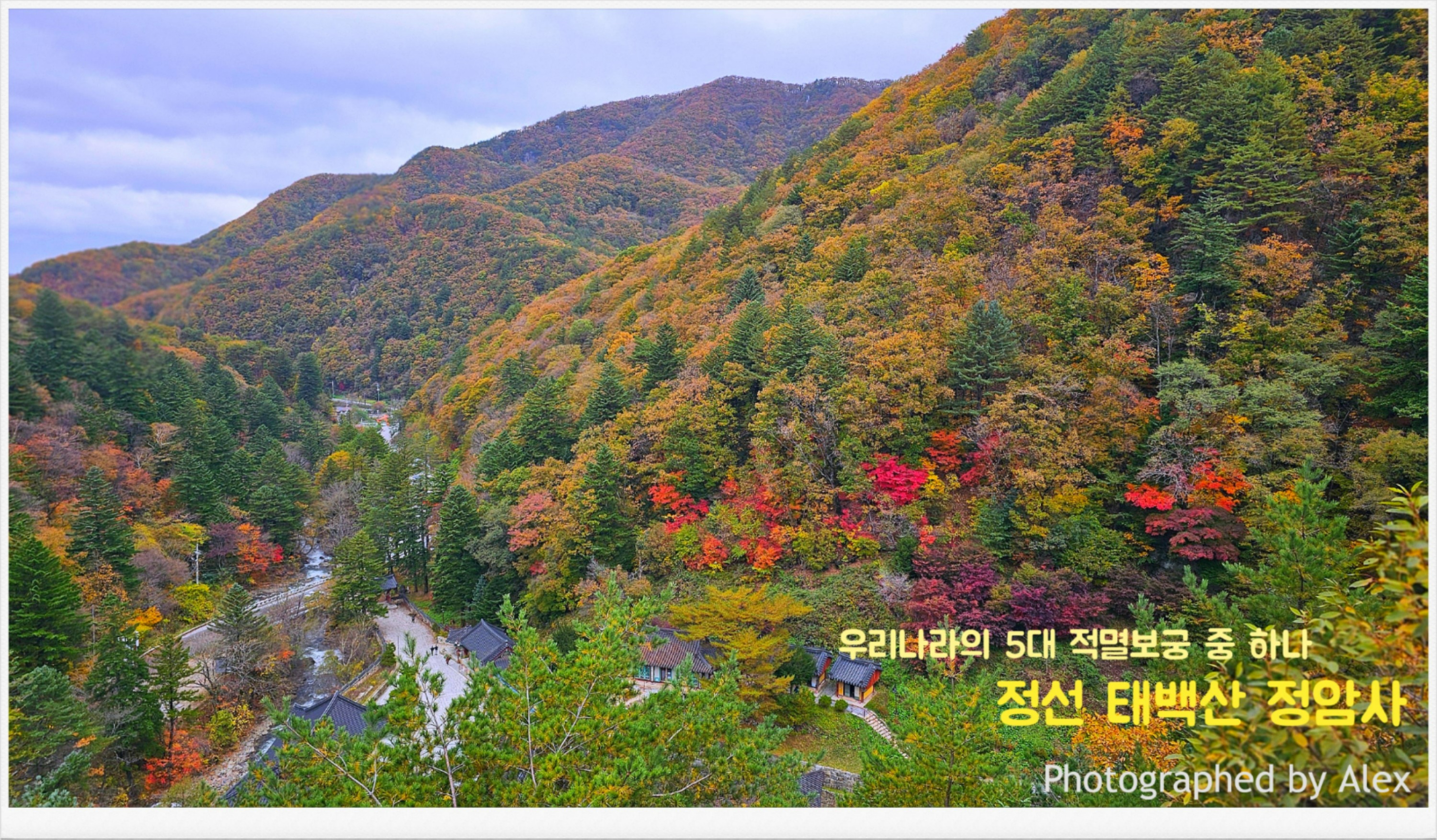 정선 이미지
