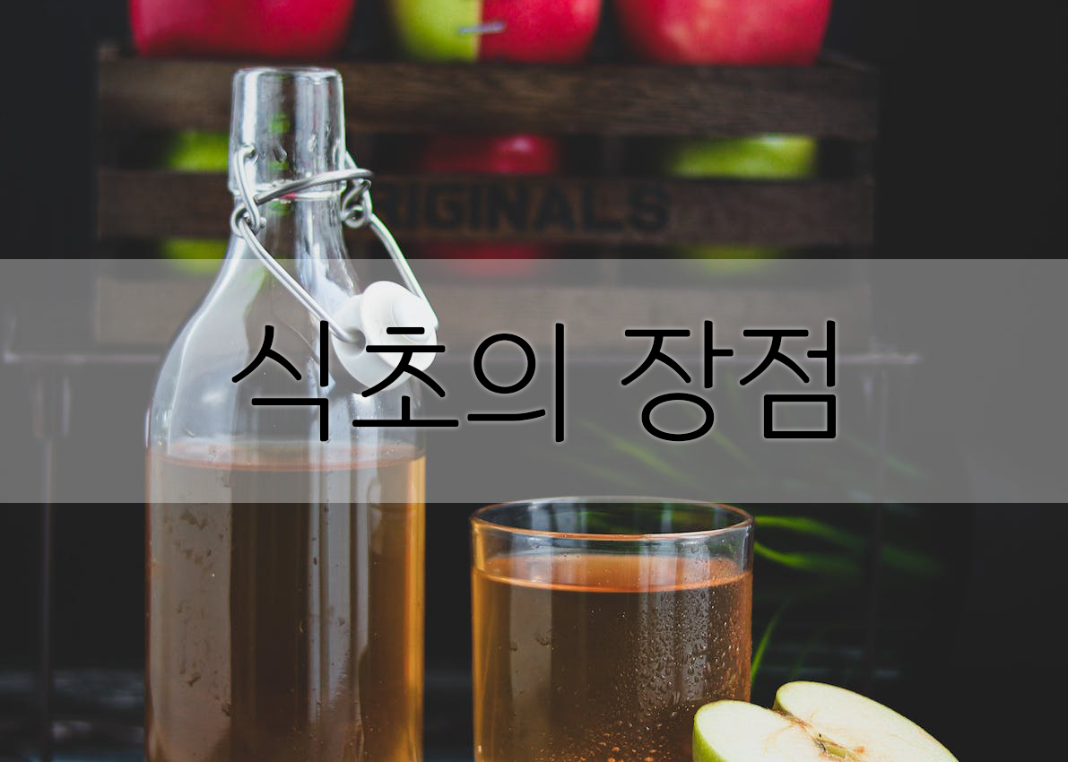  식초 : 다양한 식초의 비밀을 밝혀보자. (사과식초)