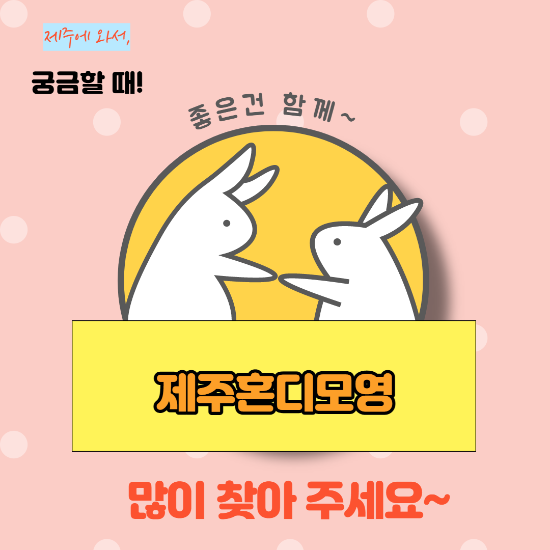 혼디가자 이미지
