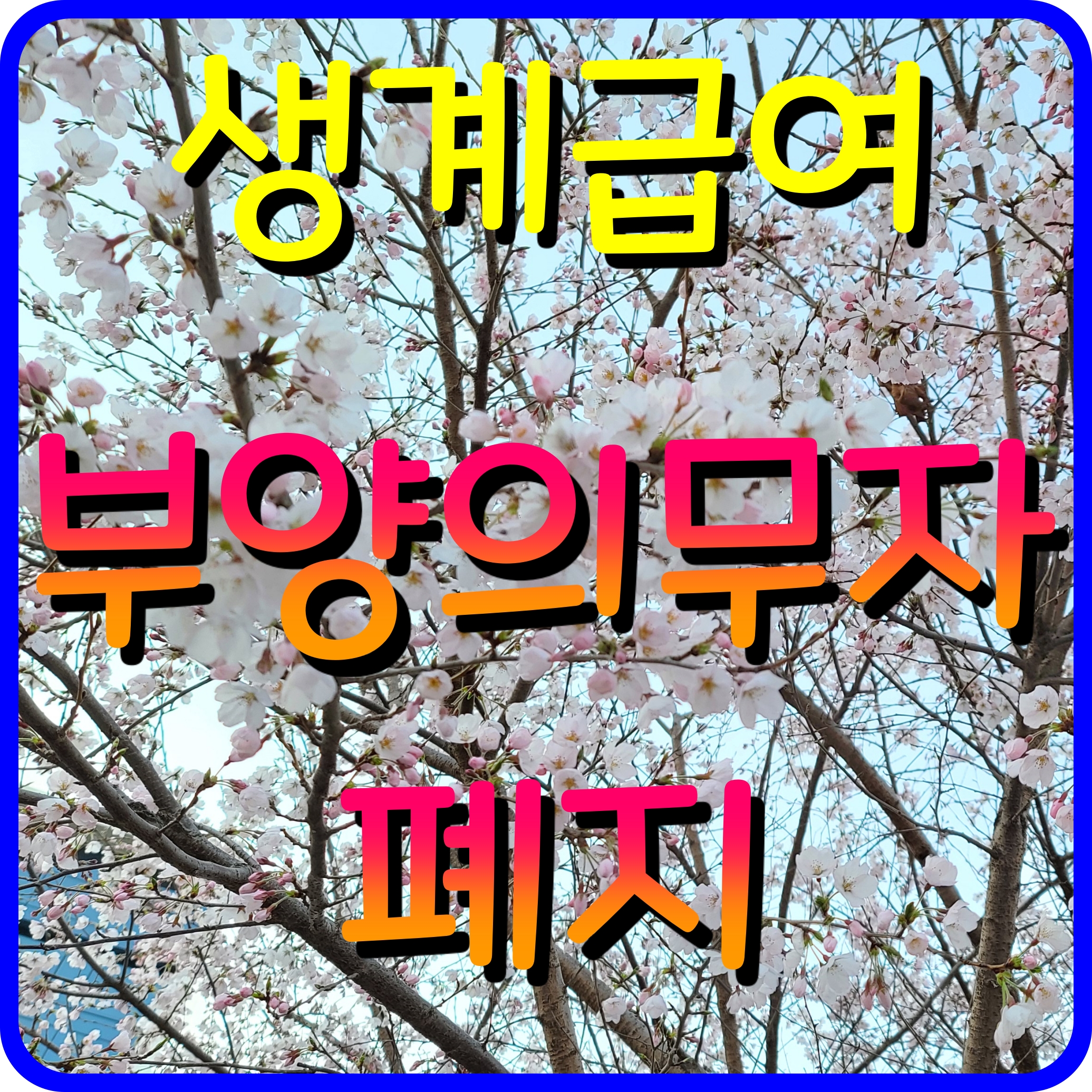  생계급여 부양의무자 기준 폐지 선정 기준 다시 알아보자