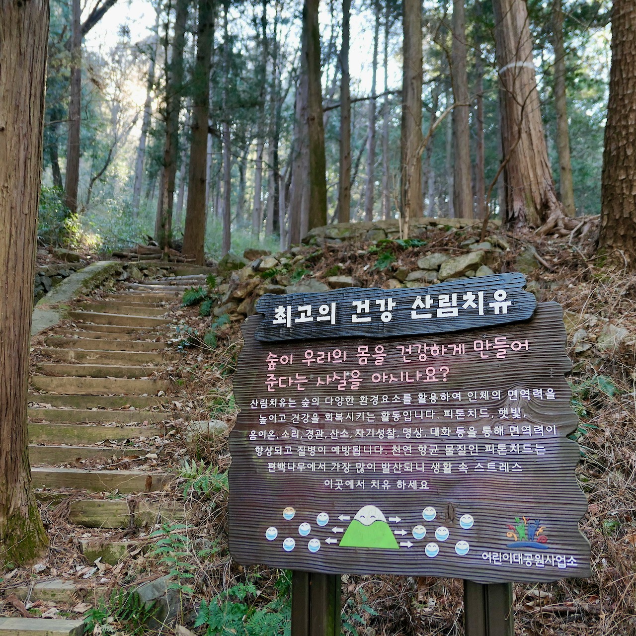 성지곡지 북쪽으로 가는 길에 산림치유장이 있었습니다. 사실 어린이 대공원 어디든 샛길로 빠지면 산림 치유장이지만요.