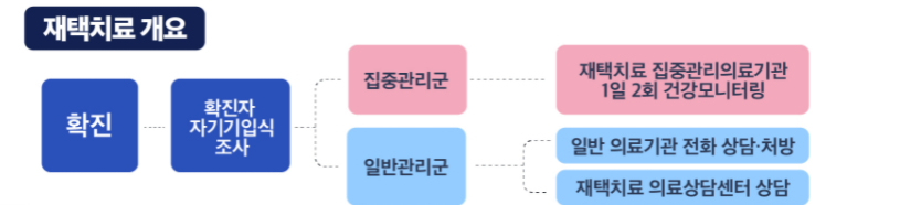  코로나 확진자 치료 및 동거인 자가격리 여부는?