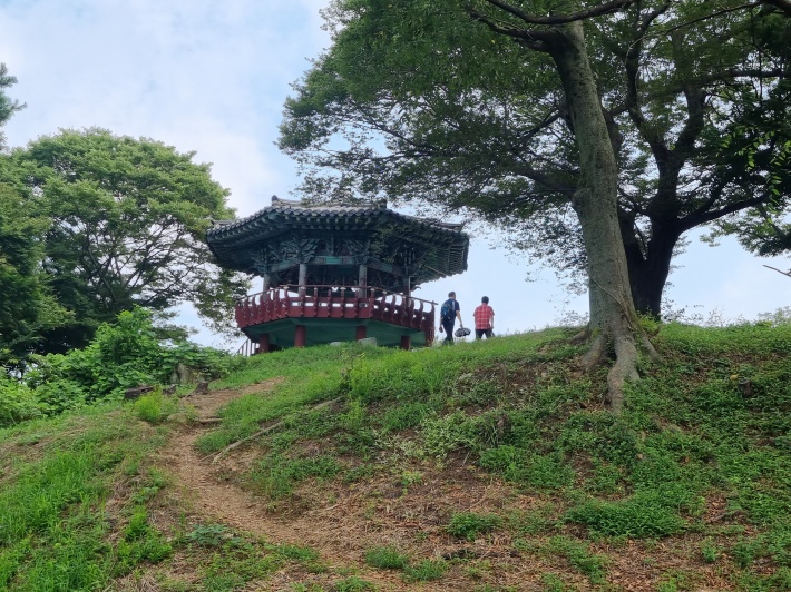 정자