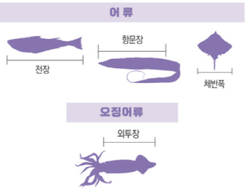 어류-계측-방법