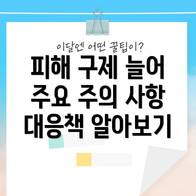 웨딩박람회 피해 구제