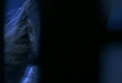 img.gif