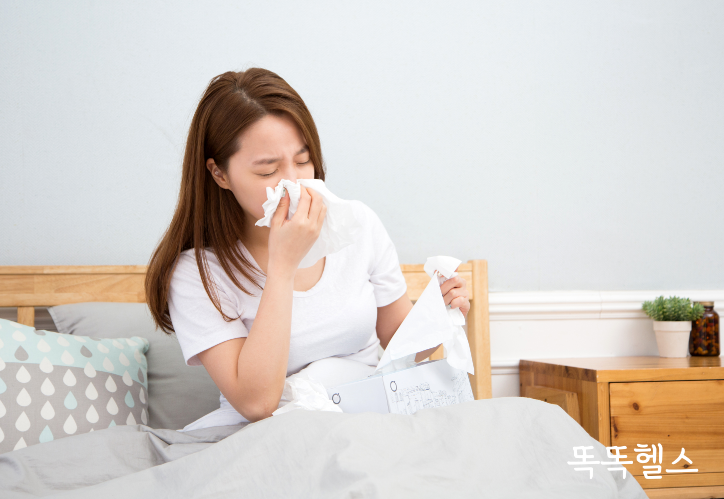 작두콩 효능 작두콩차 효능 비염에 좋은 음식