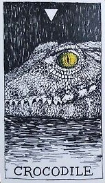  [오라클카드배우기/와일드언노운애니멀스피릿]The Wild Unknown Animal Spirit Crocodile 악어 해석 및 의미