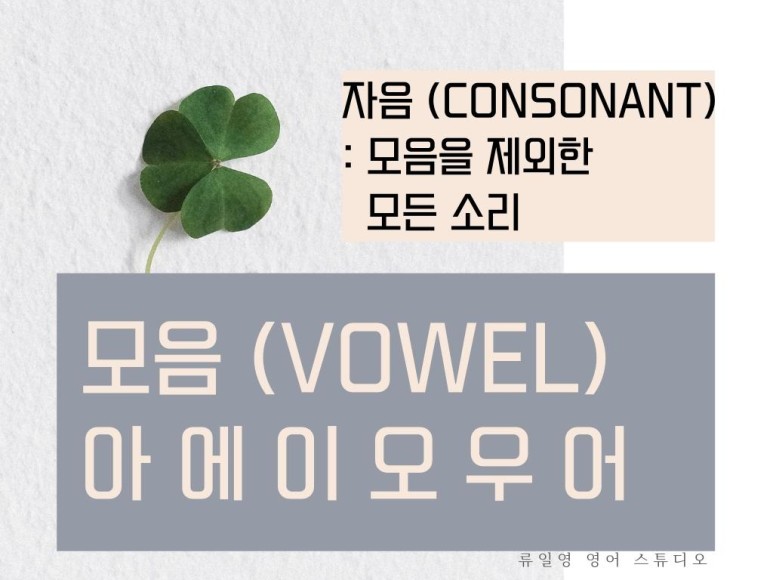 자음앞에 a, 모음