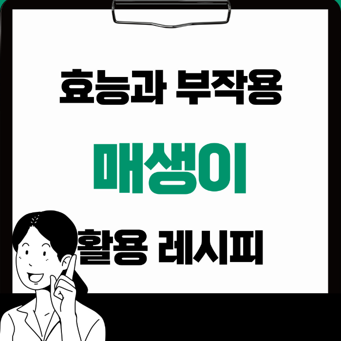  매생이 효능 부작용 여러가지 요리 방법까지 알아보기