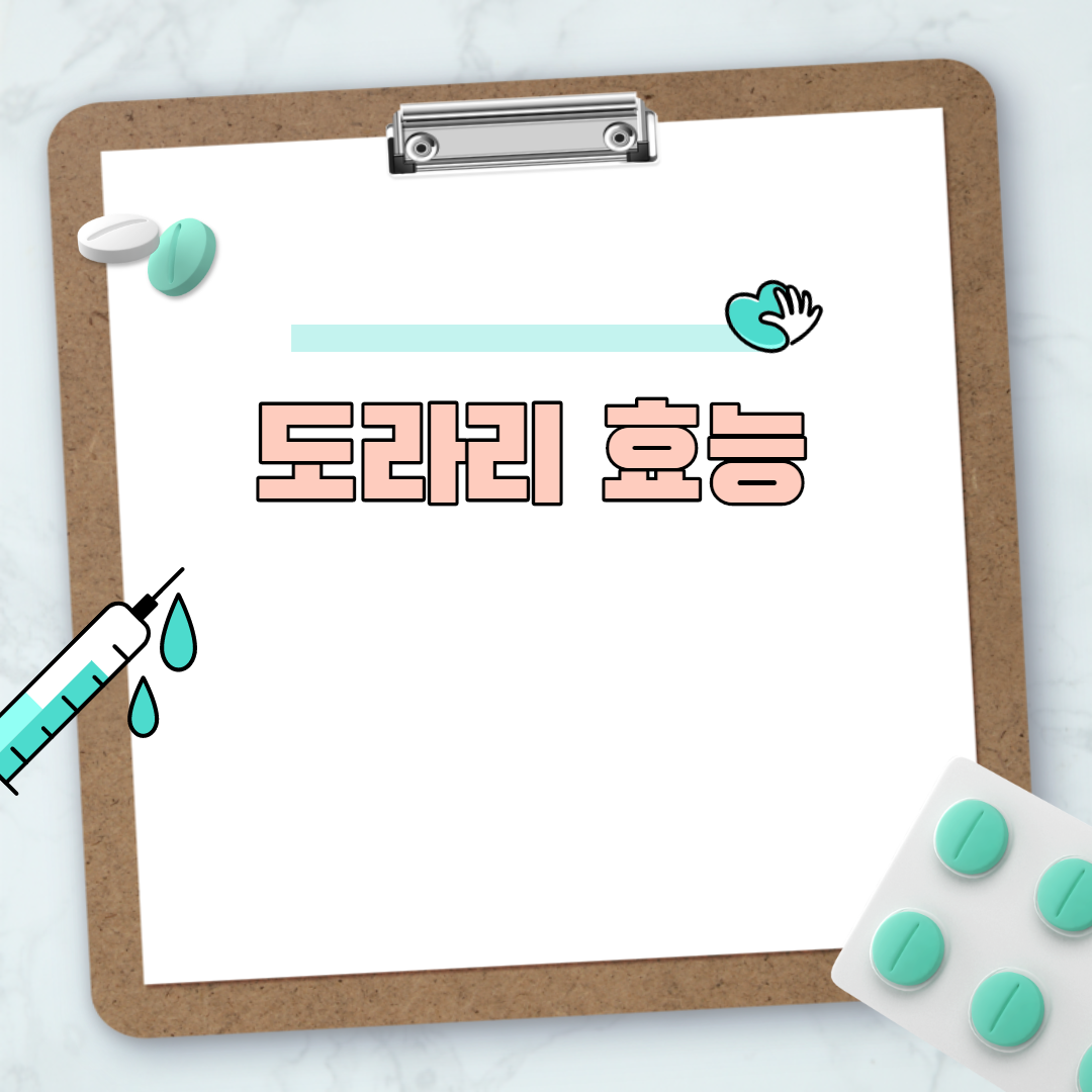  도라지 효능
