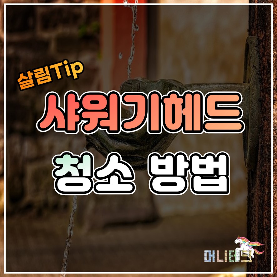  살림Tip. 화장실 샤워기헤드 간단하게 청소하는 방법 (물때/석회질 제거)