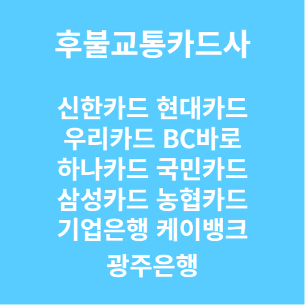 K패스 교통카드 소개 지급방식 페이 이용방법