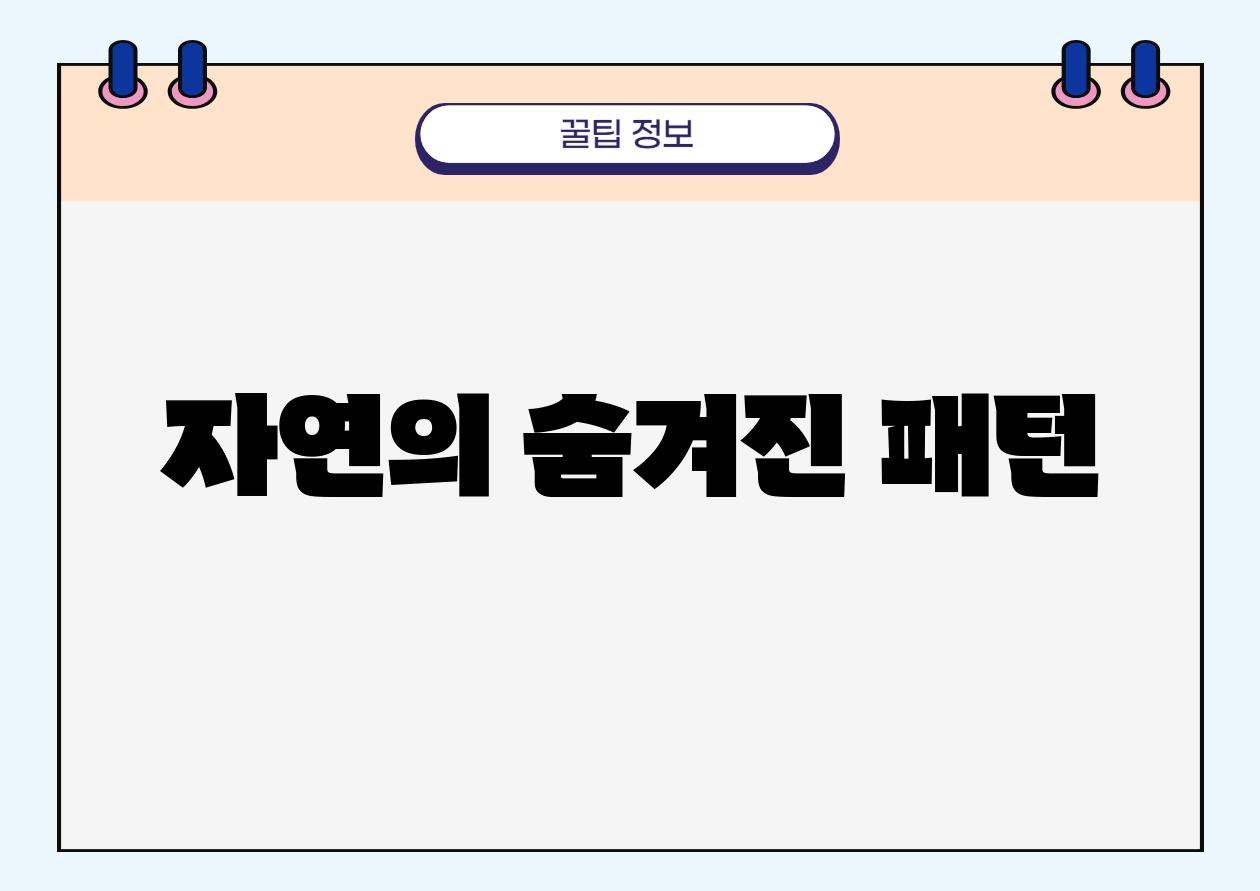 자연의 숨겨진 패턴