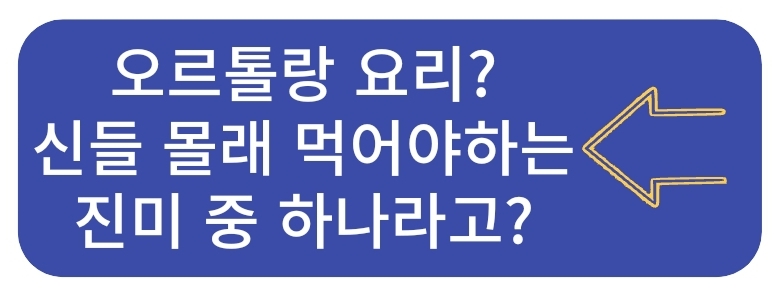 투움바 뜻? 투움바 파스타에 붙은 투움바의 진짜 의미는?
