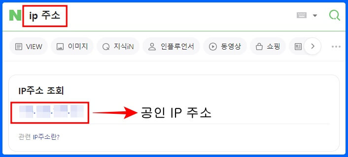 SteamCMD 팰월드 서버 만들기 매뉴얼-공인 IP 주소 확인 방법
