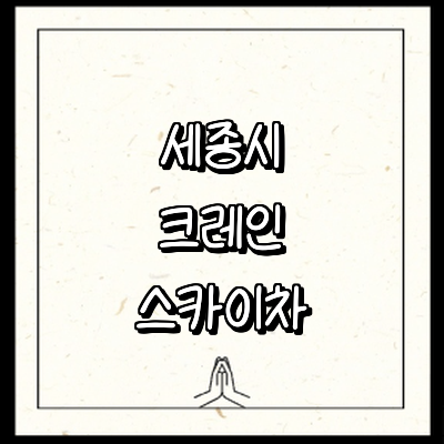 세종시 크레인