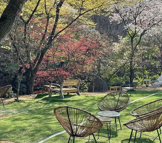 몽쥬이에