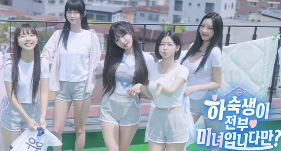 하숙생이 전부 미녀입니다만 논란 해명 문제 장면 해명 하숙생이 전부 미녀입니다만 논란 해명 문제 장면 해명