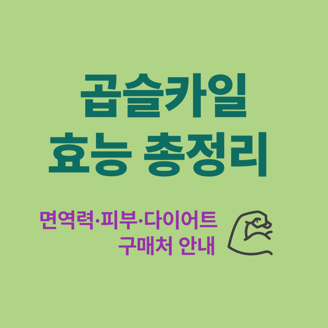 곱슬카일 효능 총정리 – 면역력·피부·다이어트에 좋은 이유와 구매처 안내