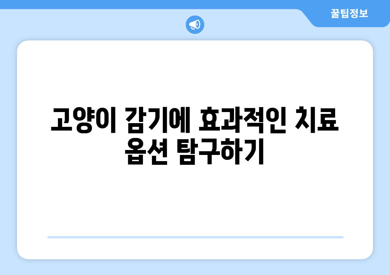 고양이 감기에 효과적인 치료 옵션 탐구하기