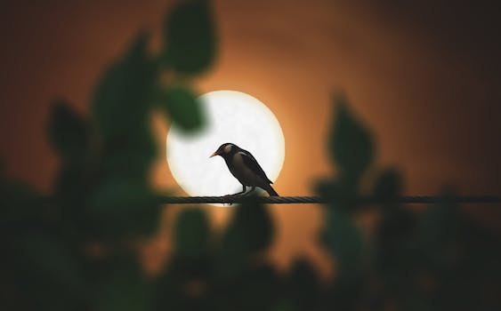 참새의정원 이미지