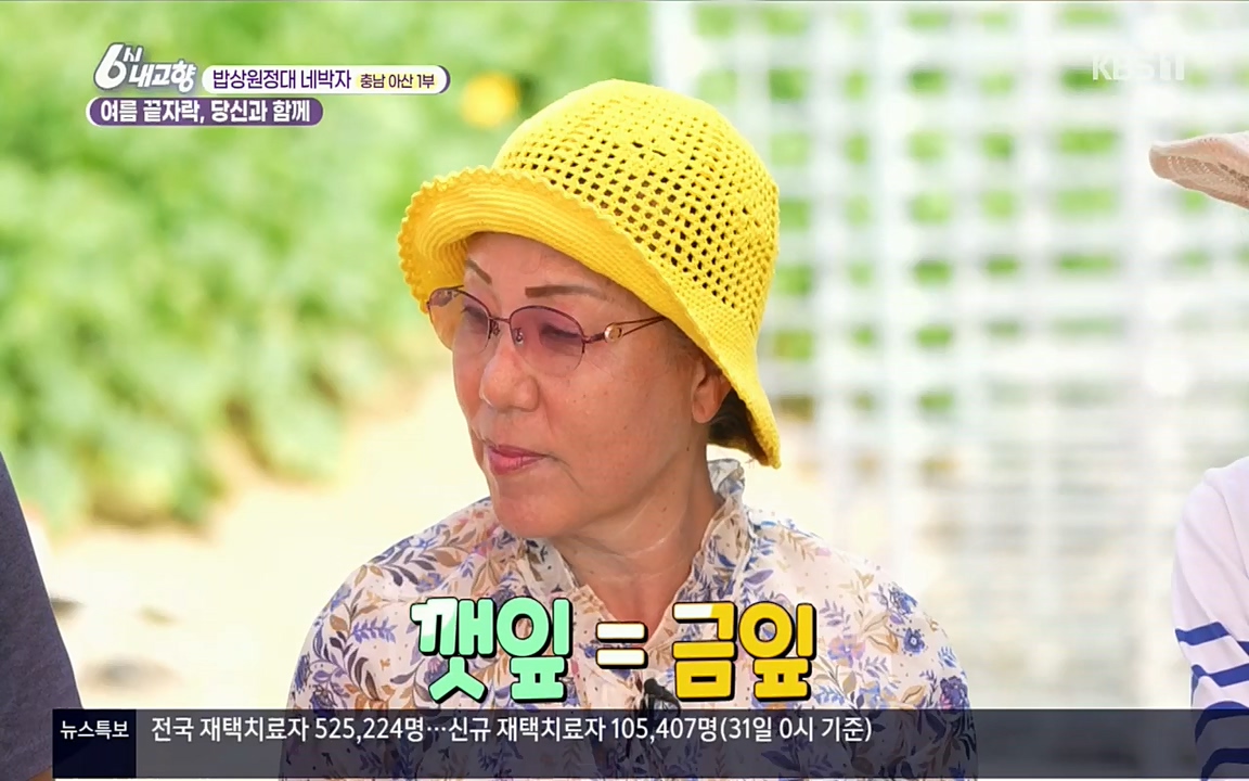 6시 내고향.E7608.220832p.H264-F1RST.mp4_20220901_204412.366.jpg