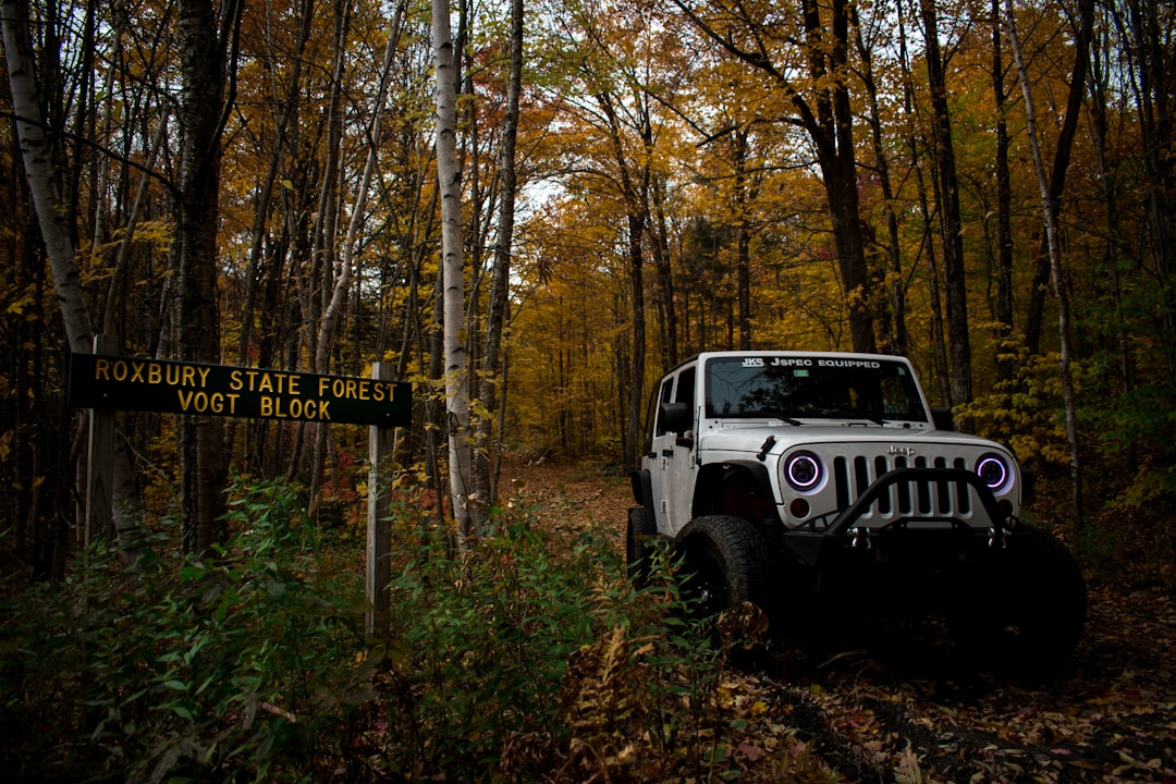 Wrangler