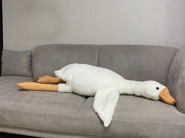 소파에 거대한 오리 인형