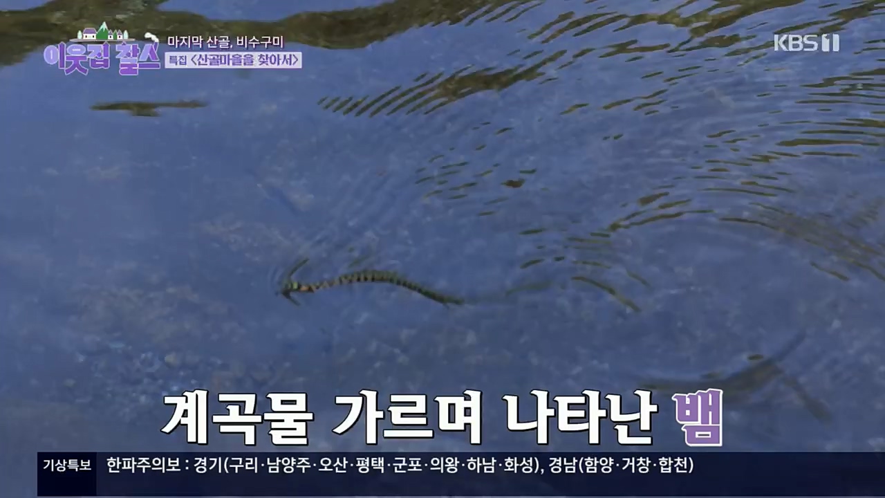 이웃집 찰스.E366.221214p.H264-F1RST.mp4_20221214_195447.413.jpg