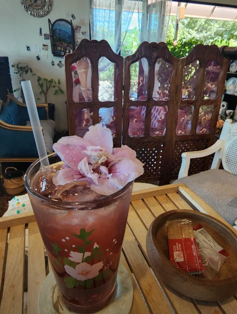 무궁화까페
