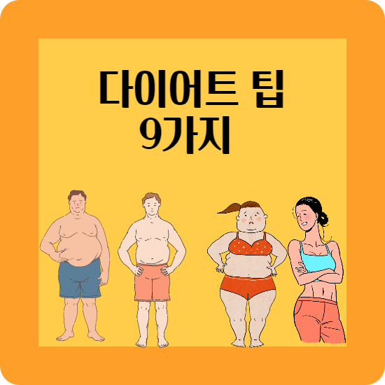 다이어트
체지방 줄이는법