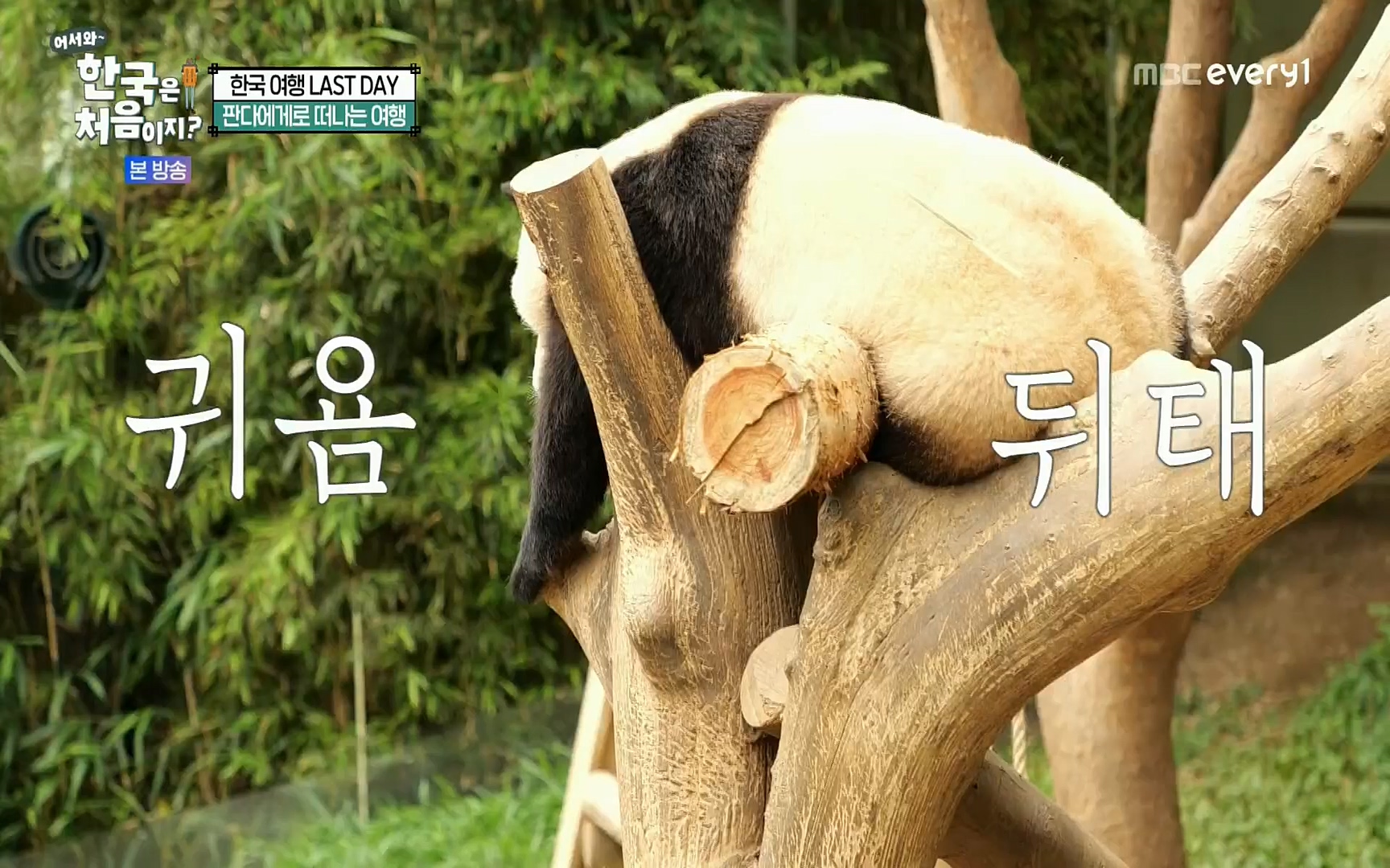 어서와~ 한국은 처음이지.E259.220901p.H264-F1RST.mp4_20220902_202145.864.jpg