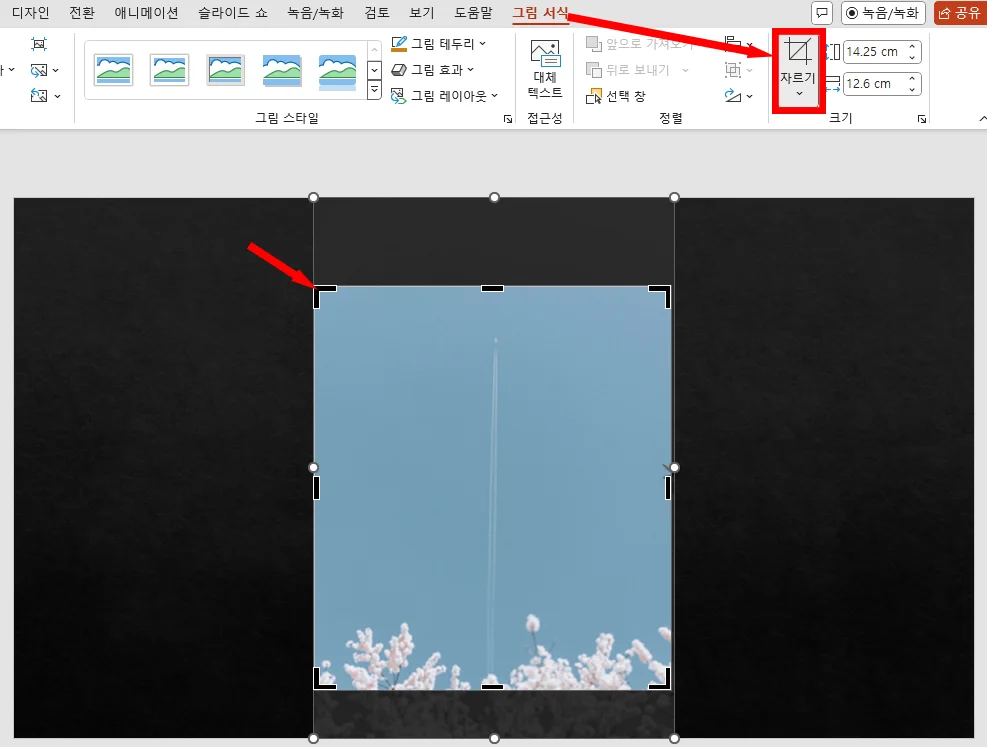 ppt에서 사진을 자르는 모습