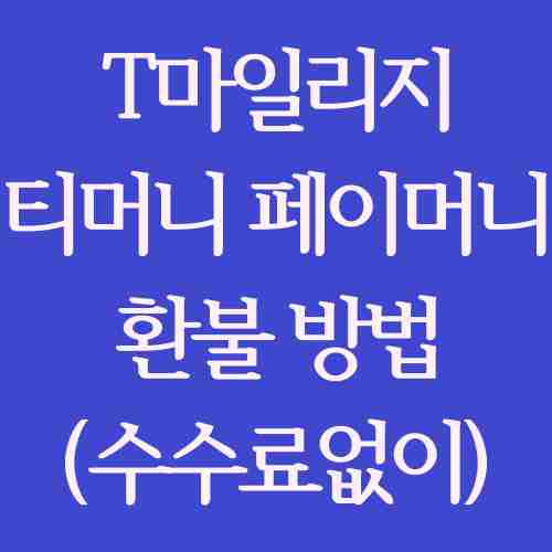 T마일리지-티머니-페이머니-수수료없이-환불받는-방법-정리-내용을-파란색-사각형에-작성