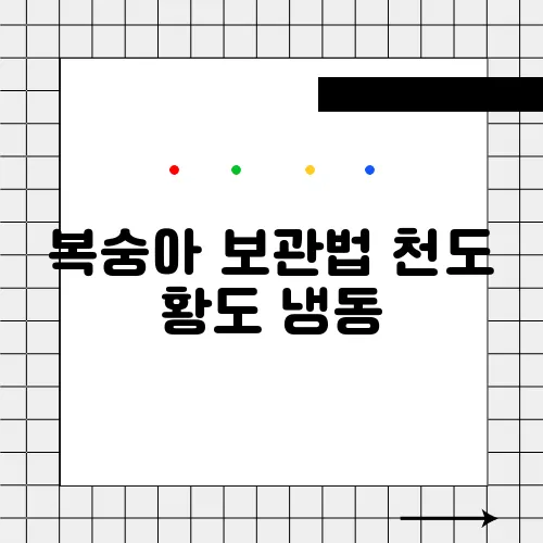 복숭아 보관법 천도 황도 냉동