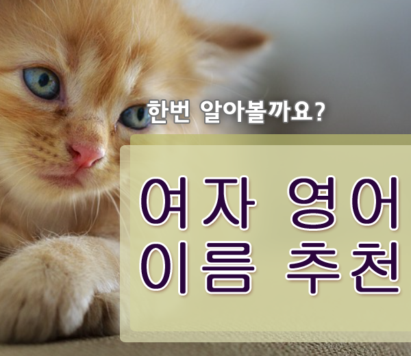  여자 영어이름 추천 인기있는 이름 알려드릴께요