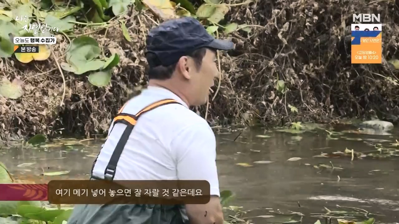 나는 자연인이다.E578.231102p-NEXT.mp4_20231102_202934.048.jpg