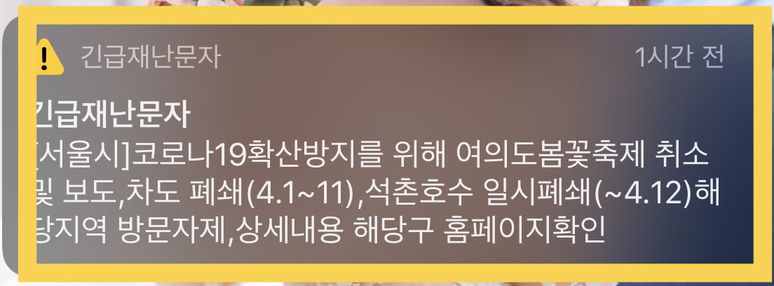  2020년 벚꽃축제 취소, 폐쇄 벚꽃길 현황 정리