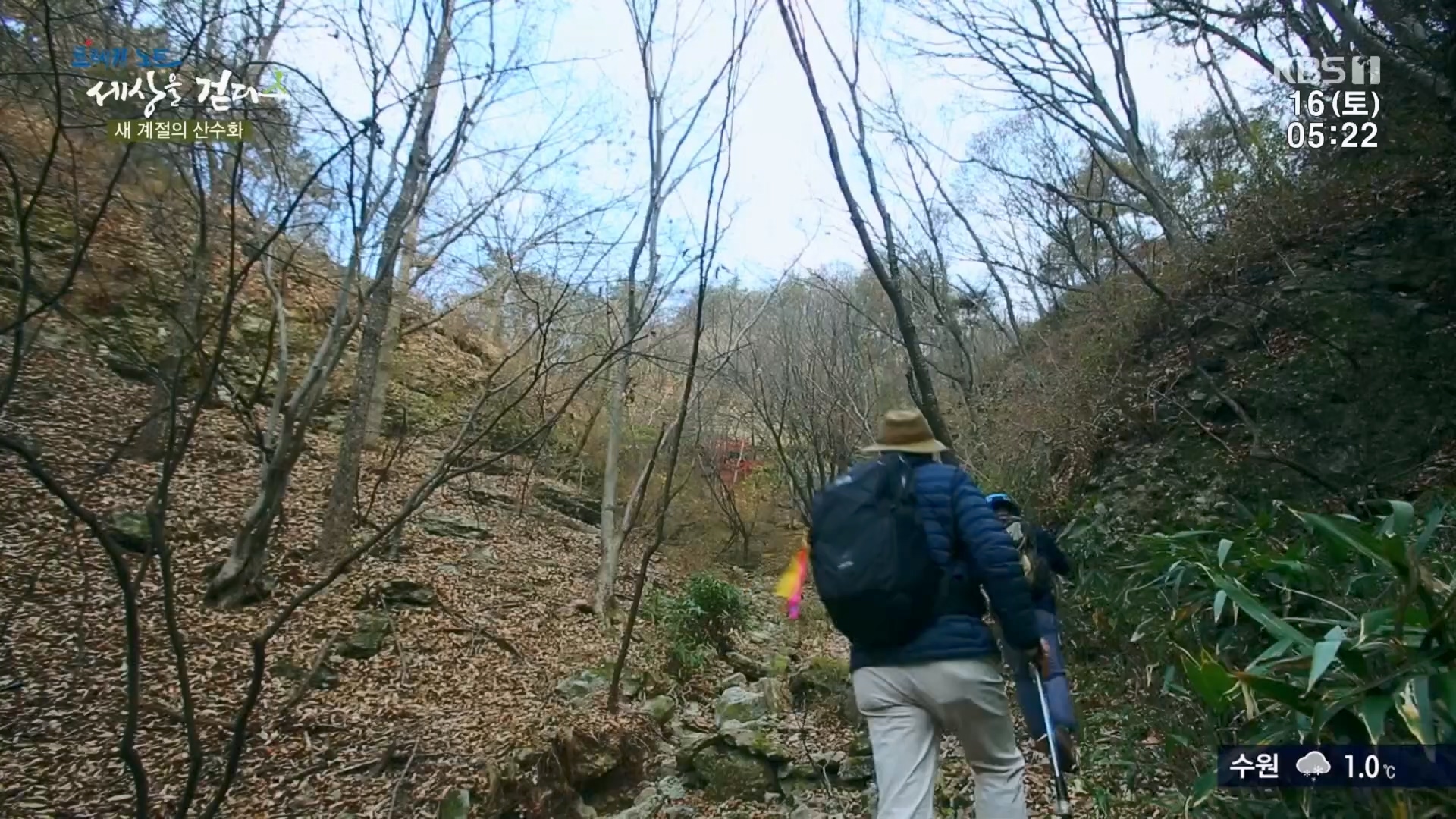 트레킹노트 세상을 걷다.E299.231216p.H264-F1RST.mp4_20240131_200352.378.jpg