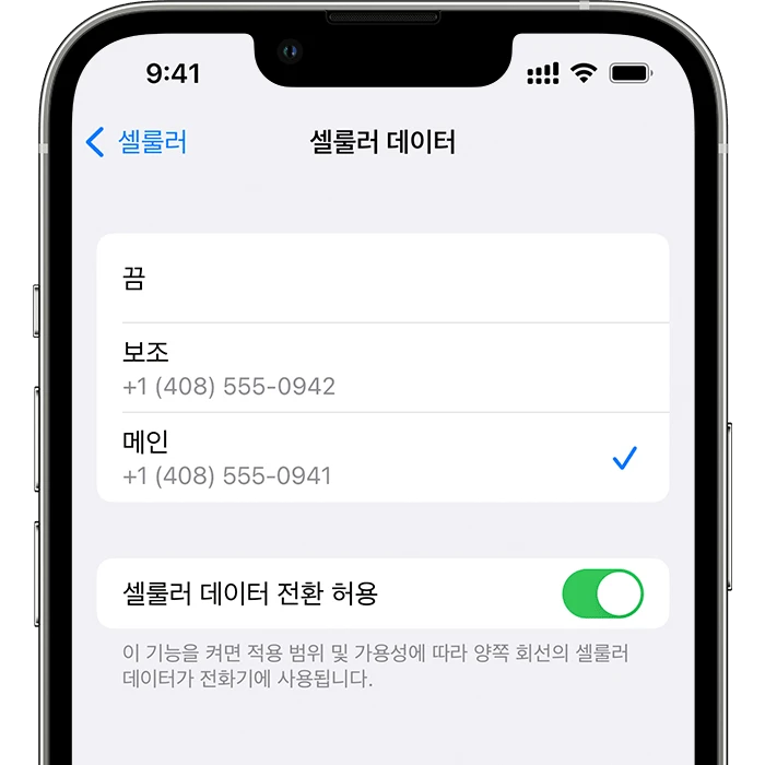 셀룰러 데이터