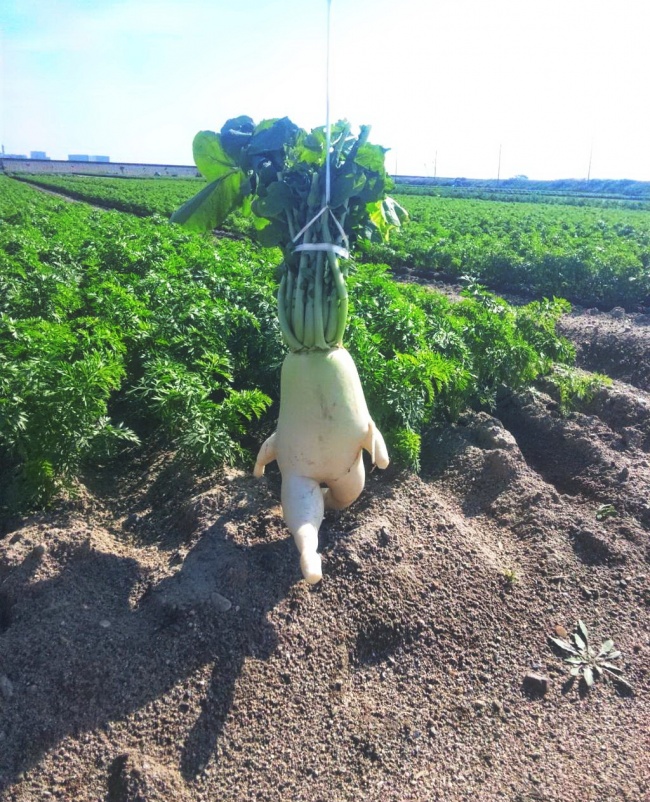 img.jpg