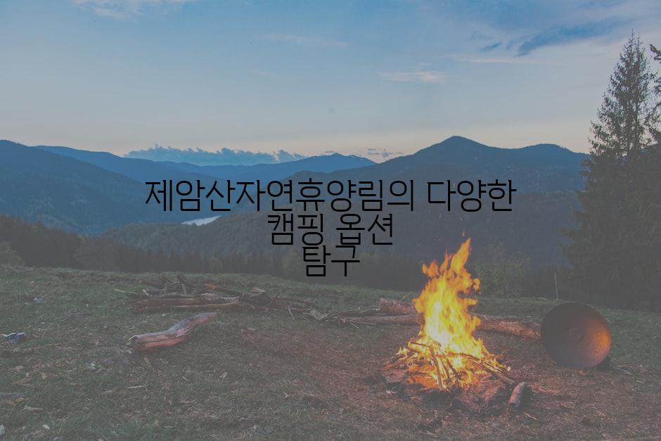 제암산자연휴양림의 다양한 캠핑 옵션 탐구
