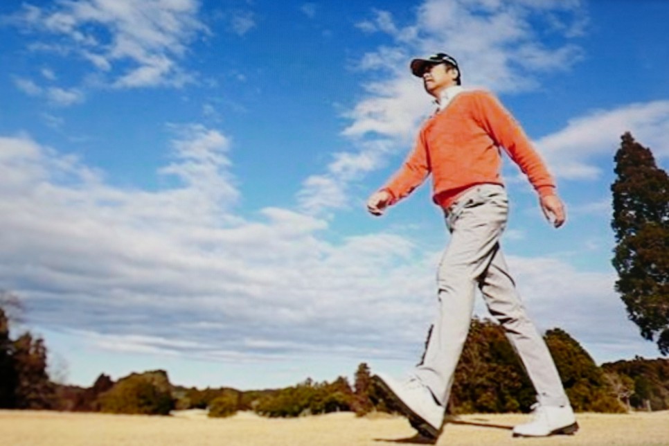 : 다이어트, 칼로리 걷기운동 효과 2