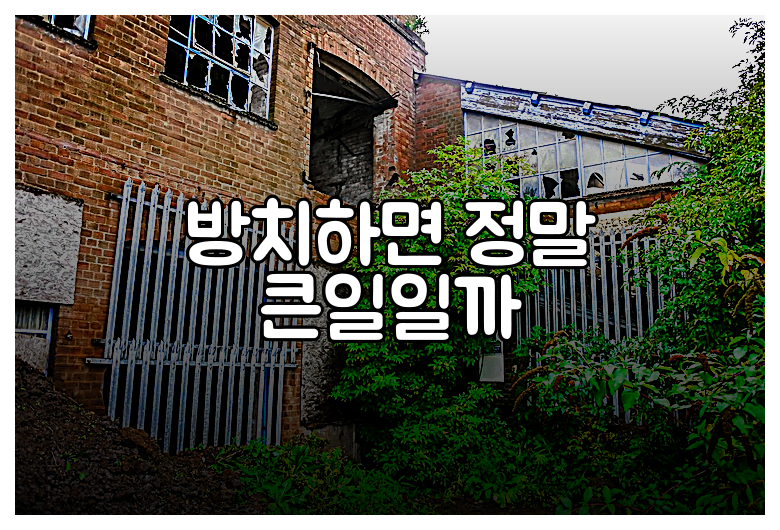 방치하면 정말 큰일일까
