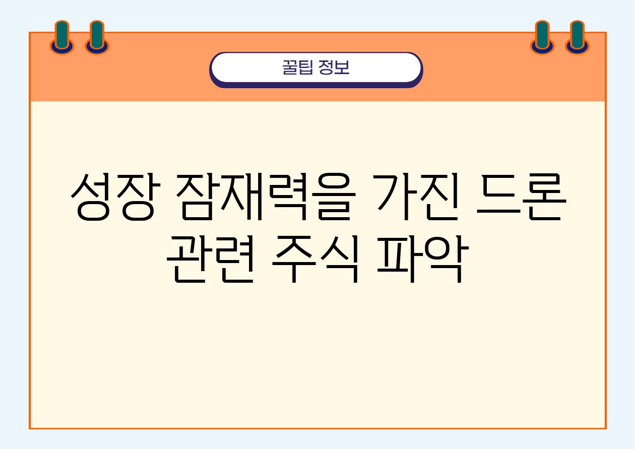 성장 잠재력을 가진 드론 관련 주식 파악