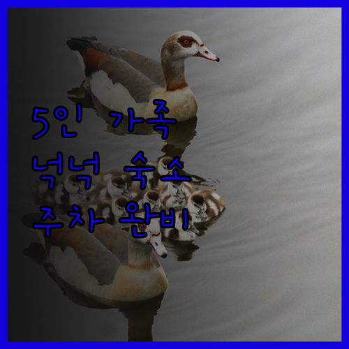 울버햄프턴 가족 여행 숙소 고민 끝 