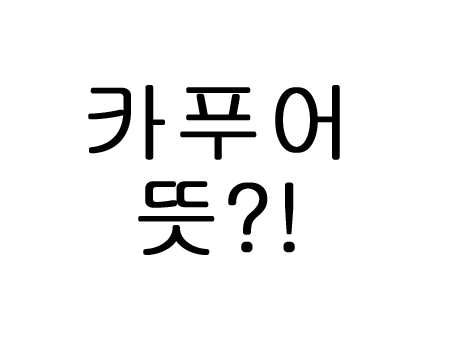  카푸어 뜻 기준 알고 가요!